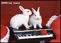 bunniesmed.JPG (10888 bytes)
